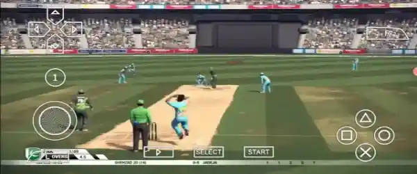 Don Bredman Cricket